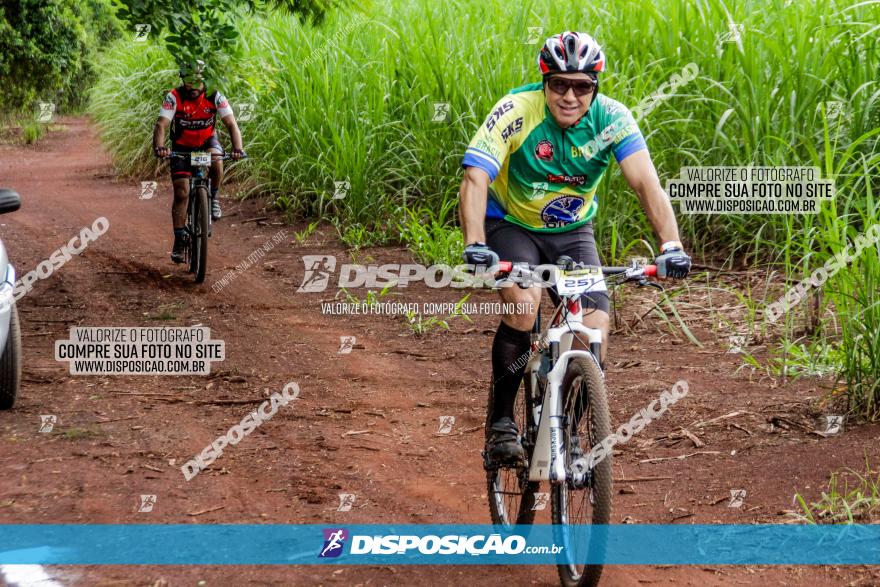 1ª EDIÇÃO DESAFIO ABELHA GRANDE - XCM