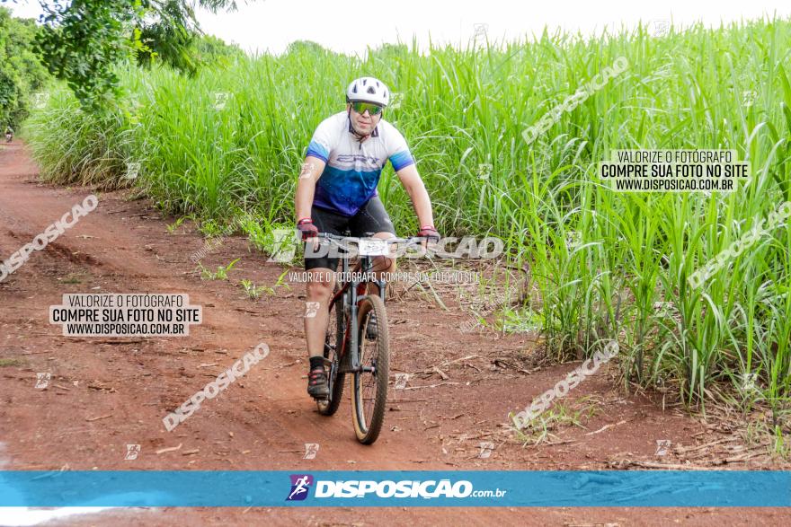 1ª EDIÇÃO DESAFIO ABELHA GRANDE - XCM