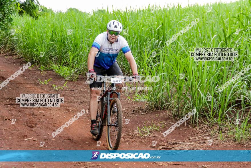 1ª EDIÇÃO DESAFIO ABELHA GRANDE - XCM