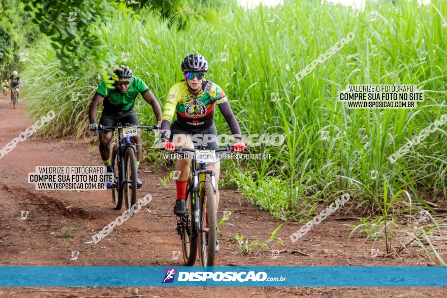 1ª EDIÇÃO DESAFIO ABELHA GRANDE - XCM