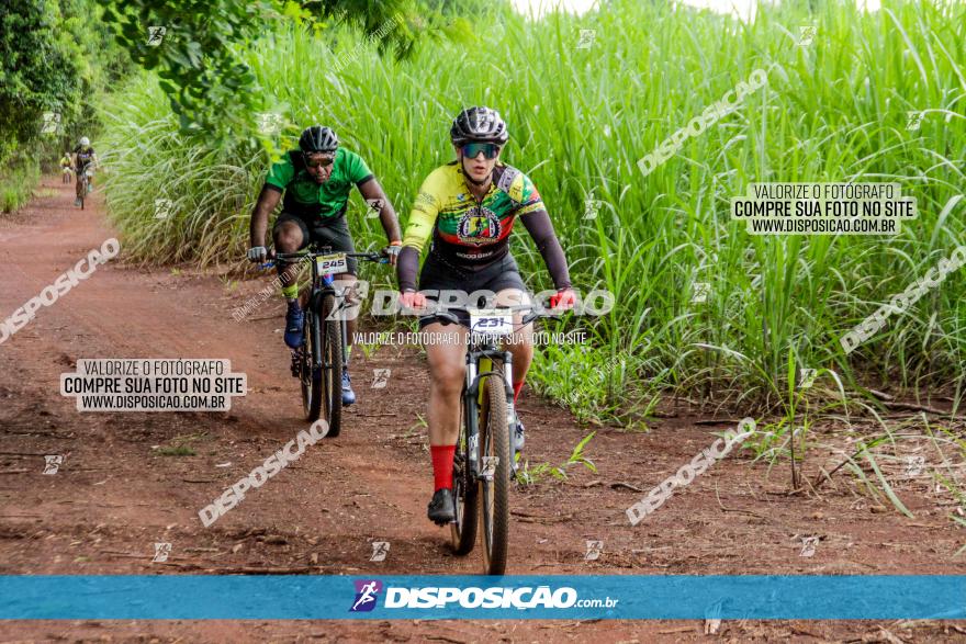 1ª EDIÇÃO DESAFIO ABELHA GRANDE - XCM