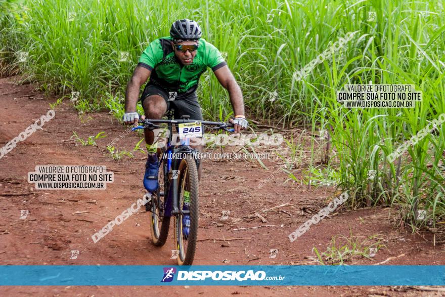 1ª EDIÇÃO DESAFIO ABELHA GRANDE - XCM