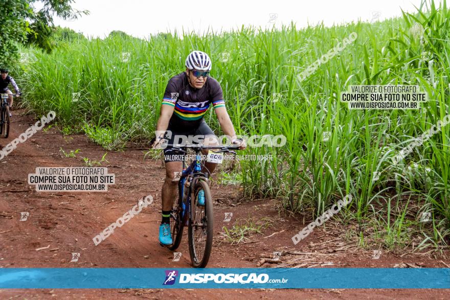 1ª EDIÇÃO DESAFIO ABELHA GRANDE - XCM