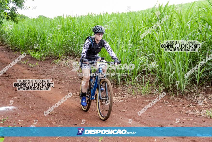 1ª EDIÇÃO DESAFIO ABELHA GRANDE - XCM