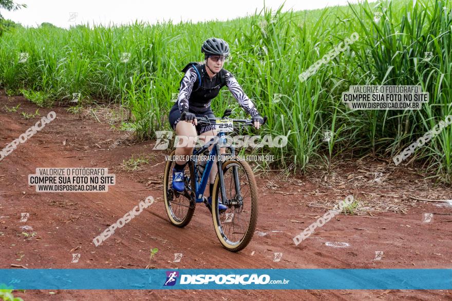 1ª EDIÇÃO DESAFIO ABELHA GRANDE - XCM