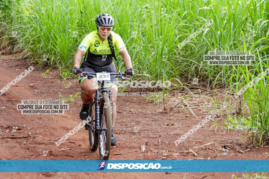 1ª EDIÇÃO DESAFIO ABELHA GRANDE - XCM