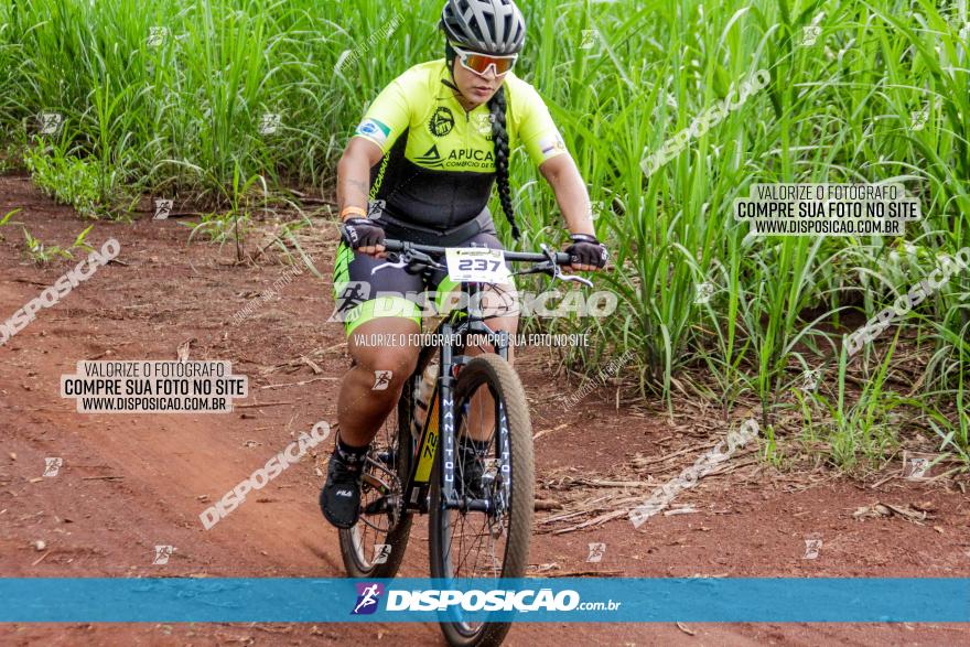 1ª EDIÇÃO DESAFIO ABELHA GRANDE - XCM