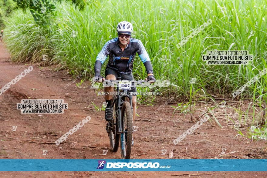 1ª EDIÇÃO DESAFIO ABELHA GRANDE - XCM