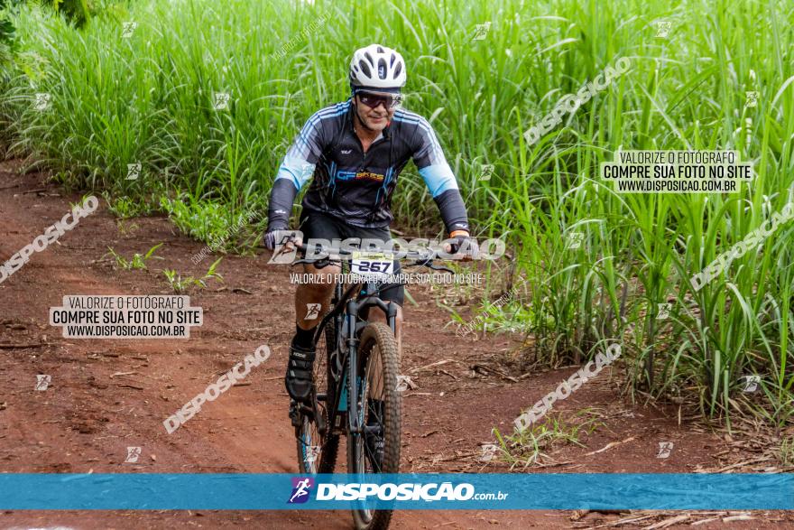 1ª EDIÇÃO DESAFIO ABELHA GRANDE - XCM