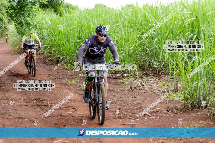 1ª EDIÇÃO DESAFIO ABELHA GRANDE - XCM