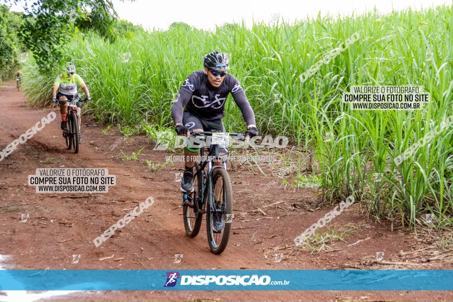 1ª EDIÇÃO DESAFIO ABELHA GRANDE - XCM