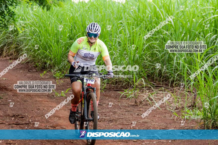 1ª EDIÇÃO DESAFIO ABELHA GRANDE - XCM