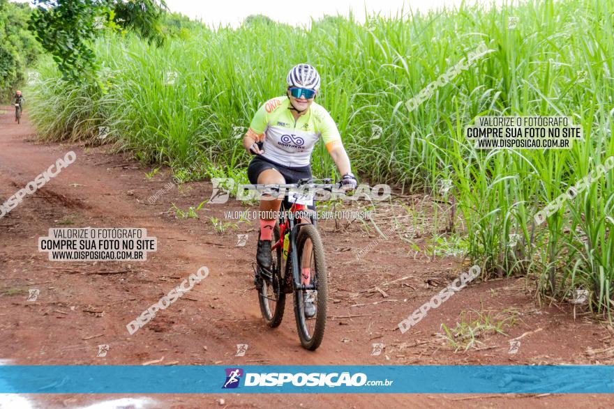 1ª EDIÇÃO DESAFIO ABELHA GRANDE - XCM