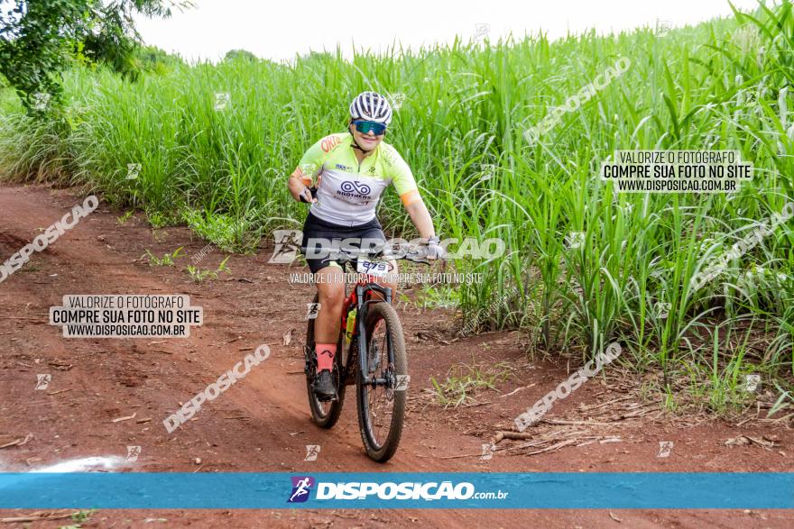 1ª EDIÇÃO DESAFIO ABELHA GRANDE - XCM