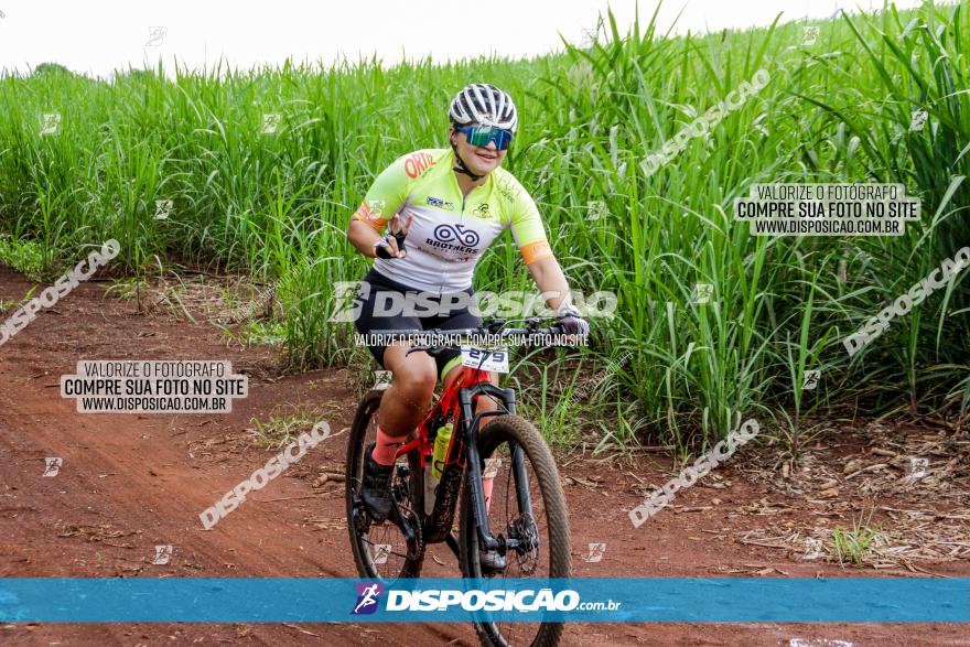 1ª EDIÇÃO DESAFIO ABELHA GRANDE - XCM