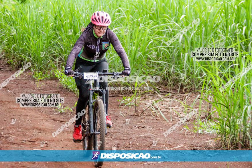 1ª EDIÇÃO DESAFIO ABELHA GRANDE - XCM