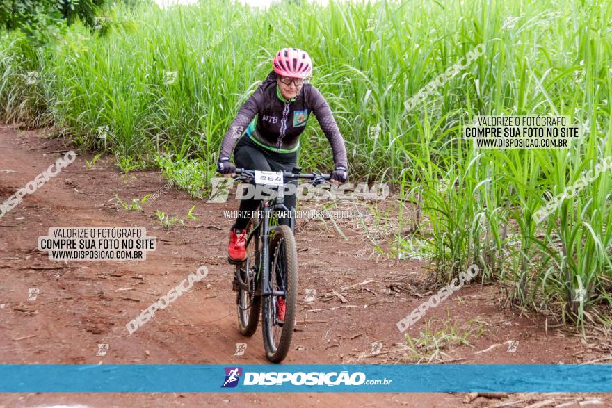 1ª EDIÇÃO DESAFIO ABELHA GRANDE - XCM