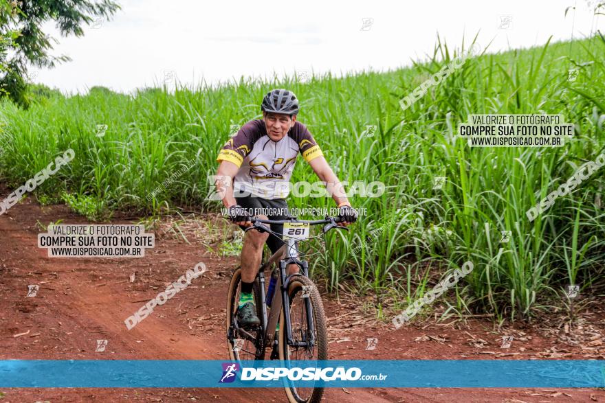 1ª EDIÇÃO DESAFIO ABELHA GRANDE - XCM