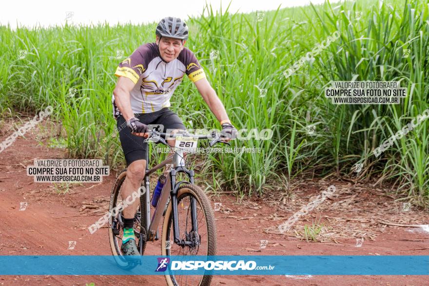 1ª EDIÇÃO DESAFIO ABELHA GRANDE - XCM