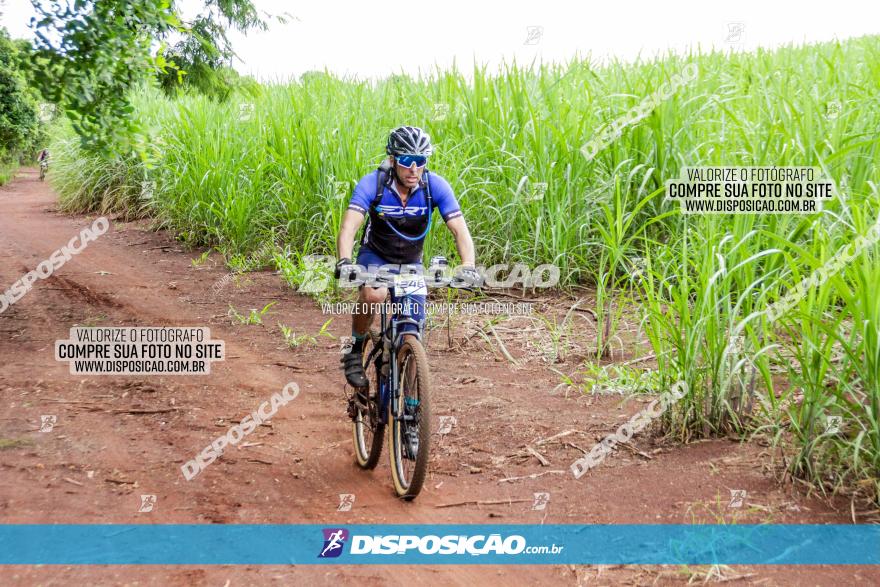 1ª EDIÇÃO DESAFIO ABELHA GRANDE - XCM