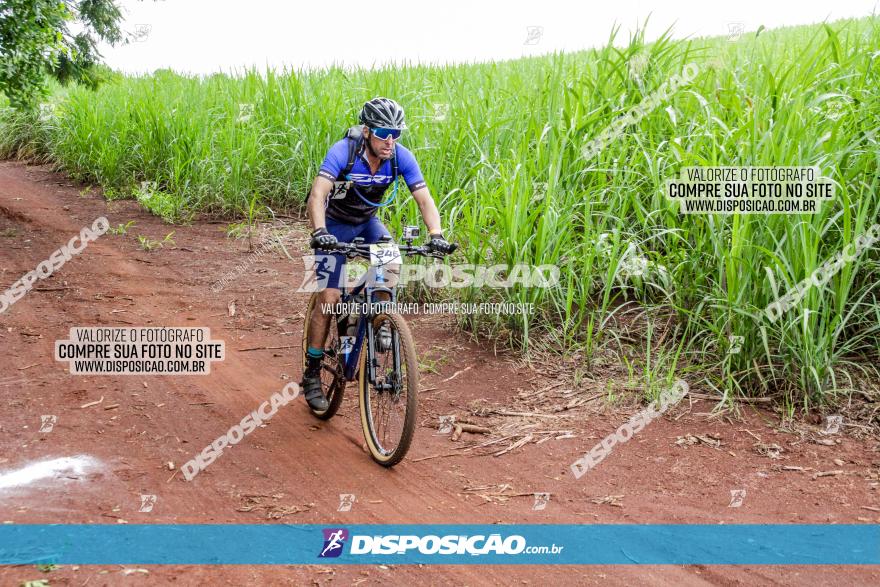 1ª EDIÇÃO DESAFIO ABELHA GRANDE - XCM