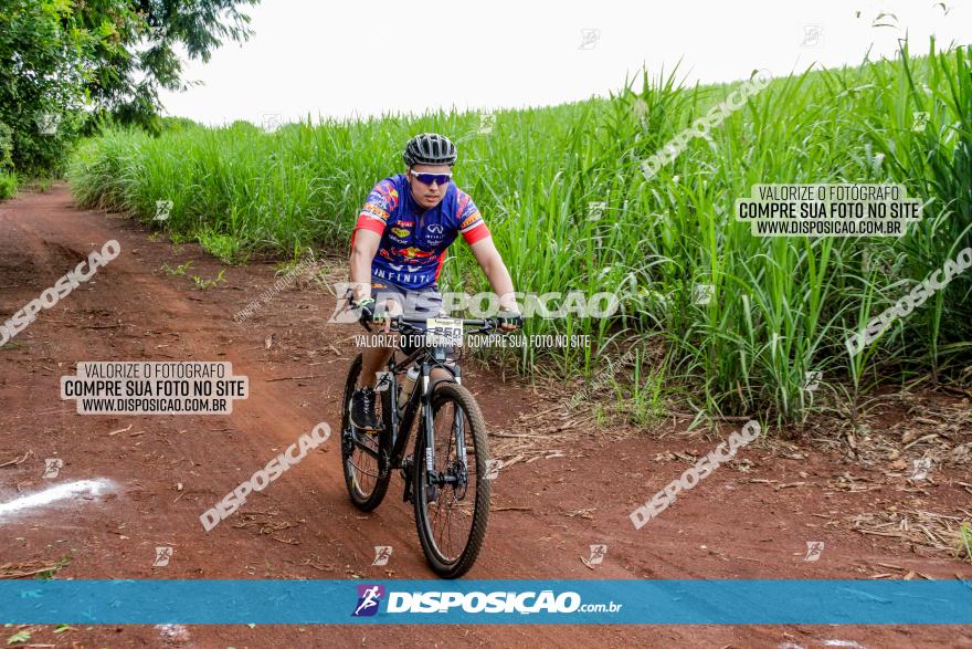 1ª EDIÇÃO DESAFIO ABELHA GRANDE - XCM