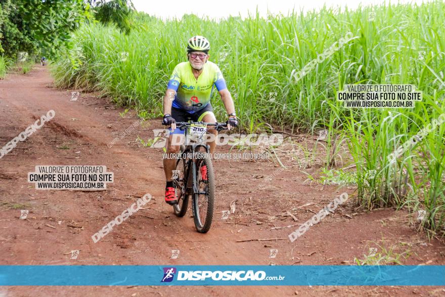 1ª EDIÇÃO DESAFIO ABELHA GRANDE - XCM