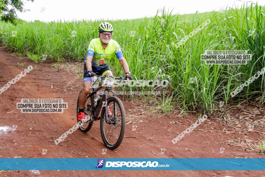 1ª EDIÇÃO DESAFIO ABELHA GRANDE - XCM