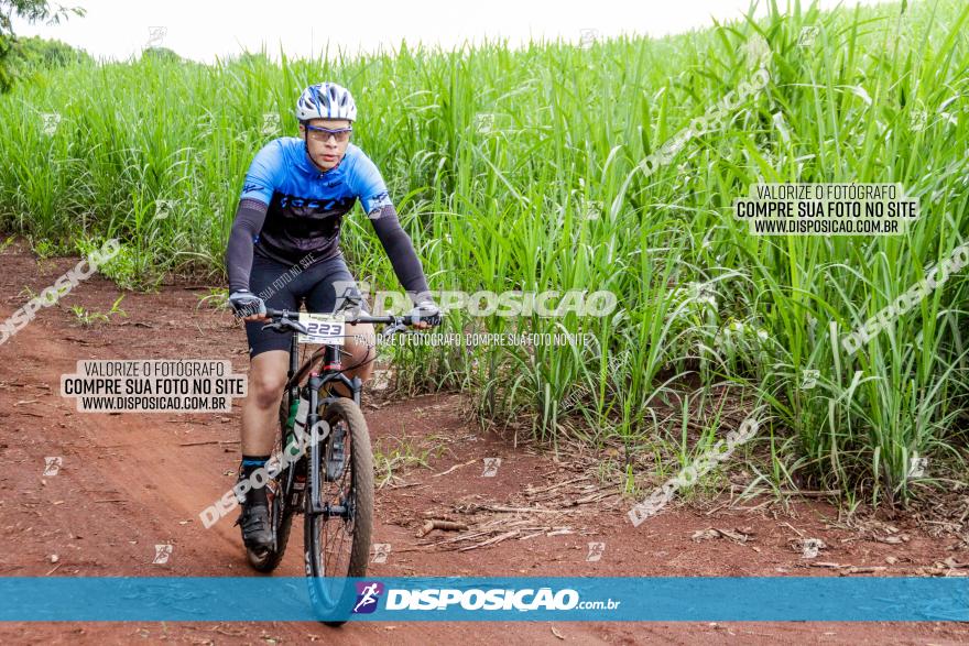 1ª EDIÇÃO DESAFIO ABELHA GRANDE - XCM