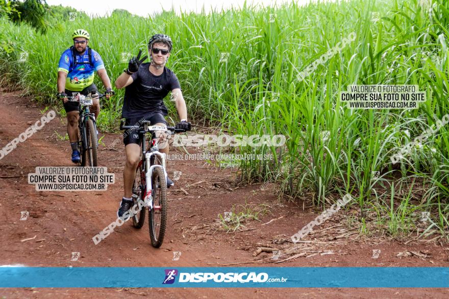 1ª EDIÇÃO DESAFIO ABELHA GRANDE - XCM