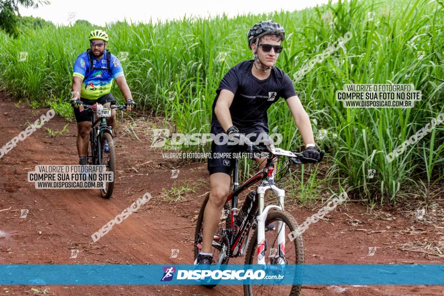 1ª EDIÇÃO DESAFIO ABELHA GRANDE - XCM