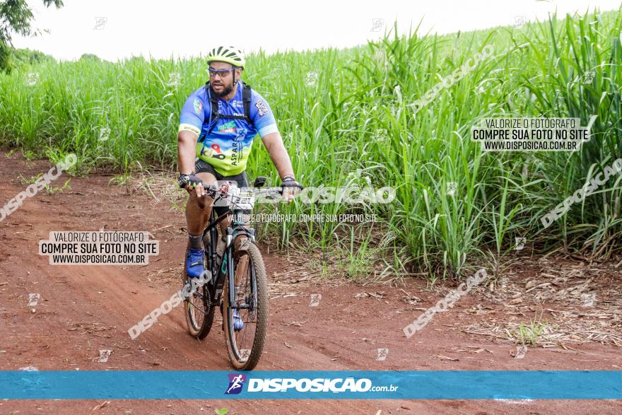 1ª EDIÇÃO DESAFIO ABELHA GRANDE - XCM