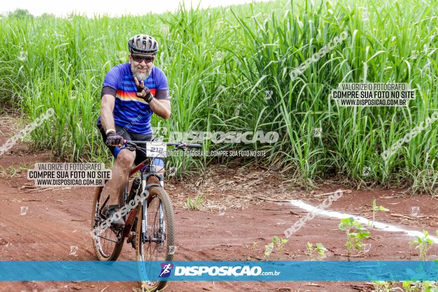 1ª EDIÇÃO DESAFIO ABELHA GRANDE - XCM