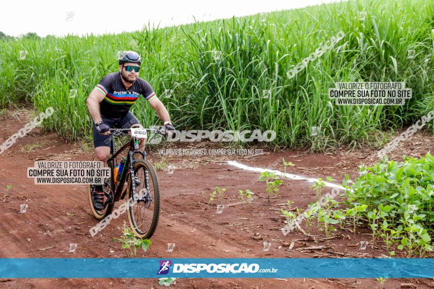 1ª EDIÇÃO DESAFIO ABELHA GRANDE - XCM