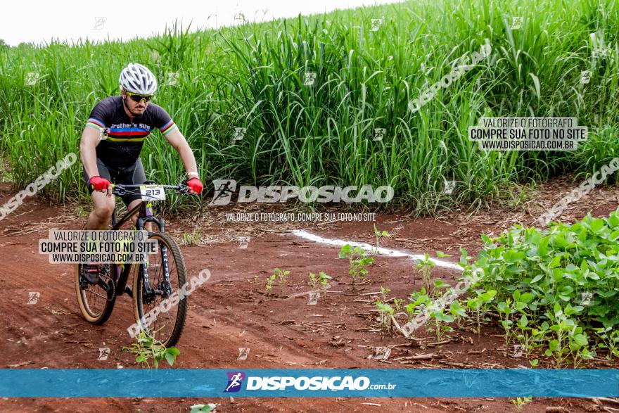 1ª EDIÇÃO DESAFIO ABELHA GRANDE - XCM