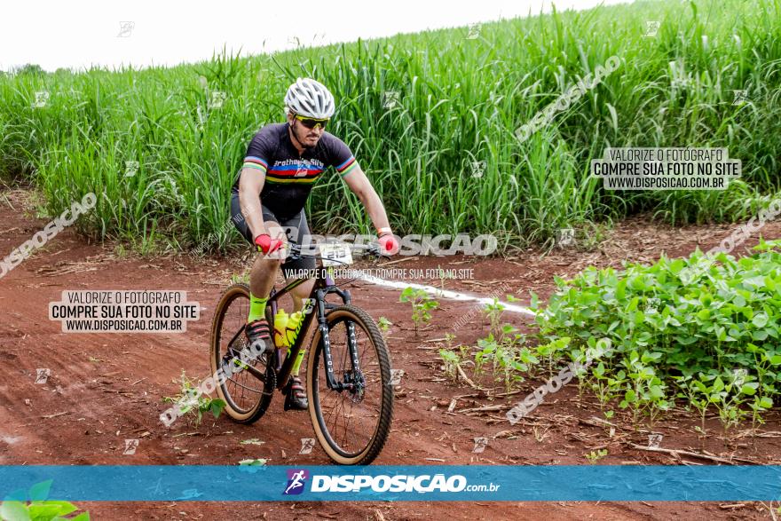 1ª EDIÇÃO DESAFIO ABELHA GRANDE - XCM