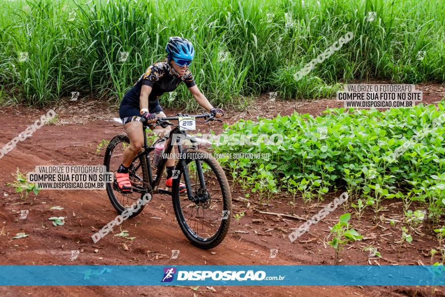 1ª EDIÇÃO DESAFIO ABELHA GRANDE - XCM