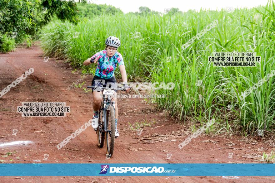 1ª EDIÇÃO DESAFIO ABELHA GRANDE - XCM