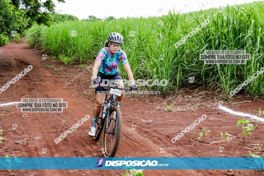 1ª EDIÇÃO DESAFIO ABELHA GRANDE - XCM