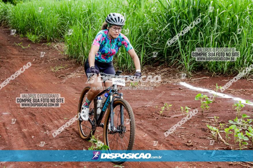 1ª EDIÇÃO DESAFIO ABELHA GRANDE - XCM