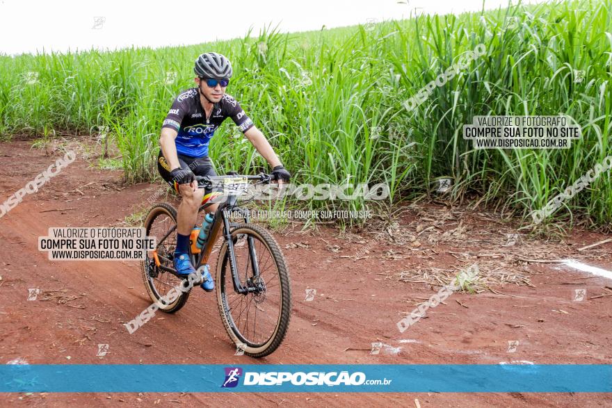 1ª EDIÇÃO DESAFIO ABELHA GRANDE - XCM