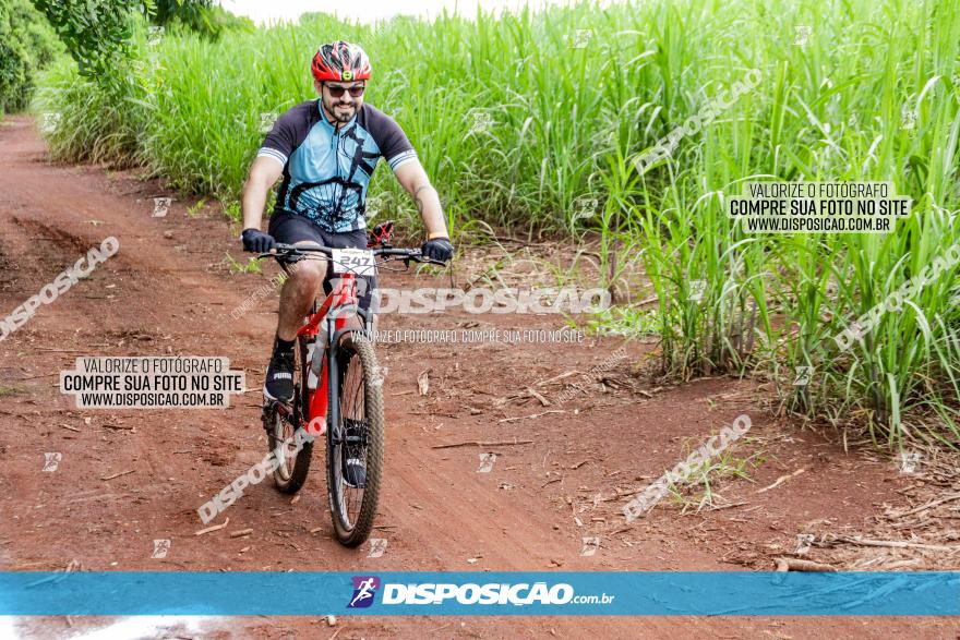 1ª EDIÇÃO DESAFIO ABELHA GRANDE - XCM