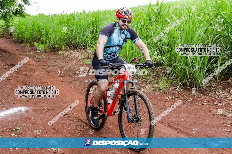 1ª EDIÇÃO DESAFIO ABELHA GRANDE - XCM