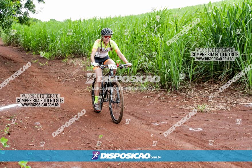 1ª EDIÇÃO DESAFIO ABELHA GRANDE - XCM