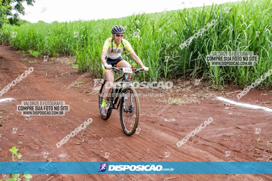 1ª EDIÇÃO DESAFIO ABELHA GRANDE - XCM