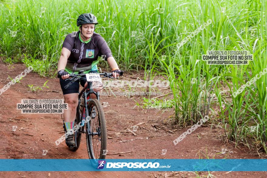 1ª EDIÇÃO DESAFIO ABELHA GRANDE - XCM