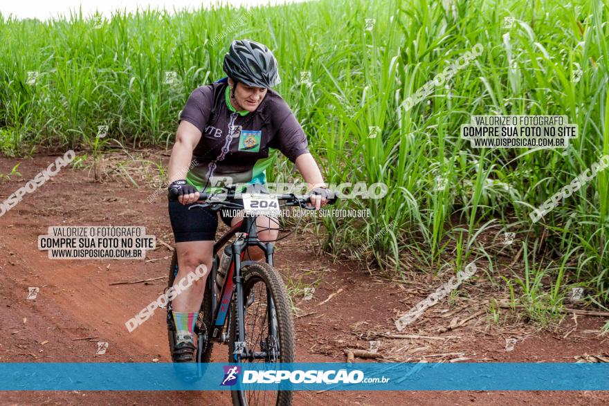 1ª EDIÇÃO DESAFIO ABELHA GRANDE - XCM