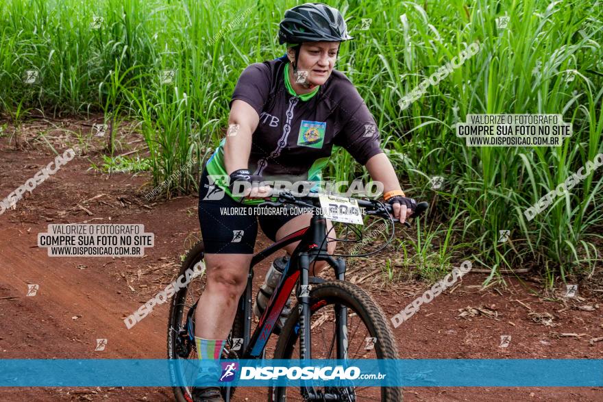 1ª EDIÇÃO DESAFIO ABELHA GRANDE - XCM