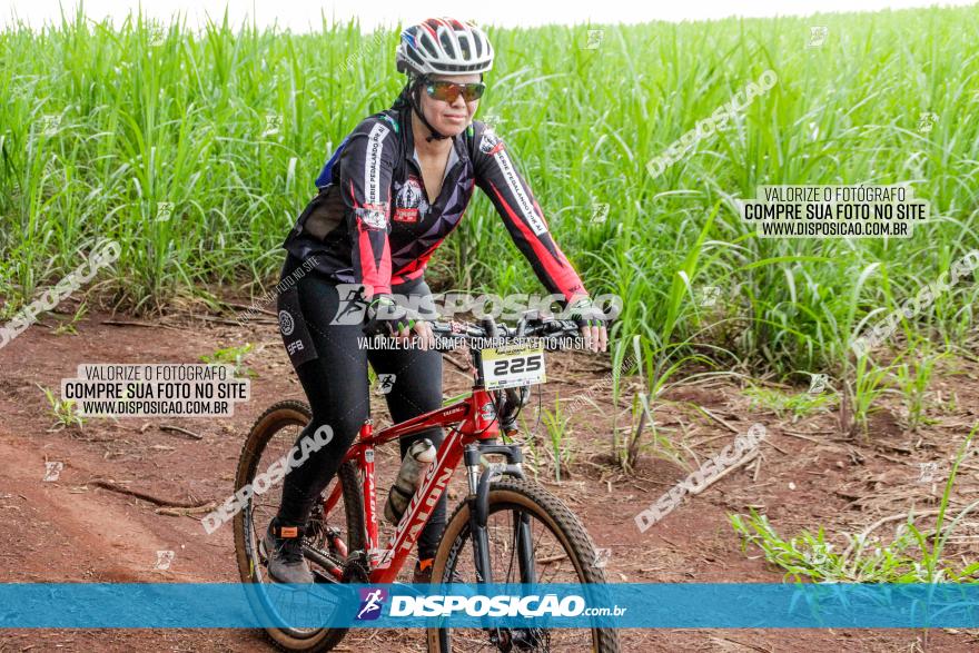 1ª EDIÇÃO DESAFIO ABELHA GRANDE - XCM