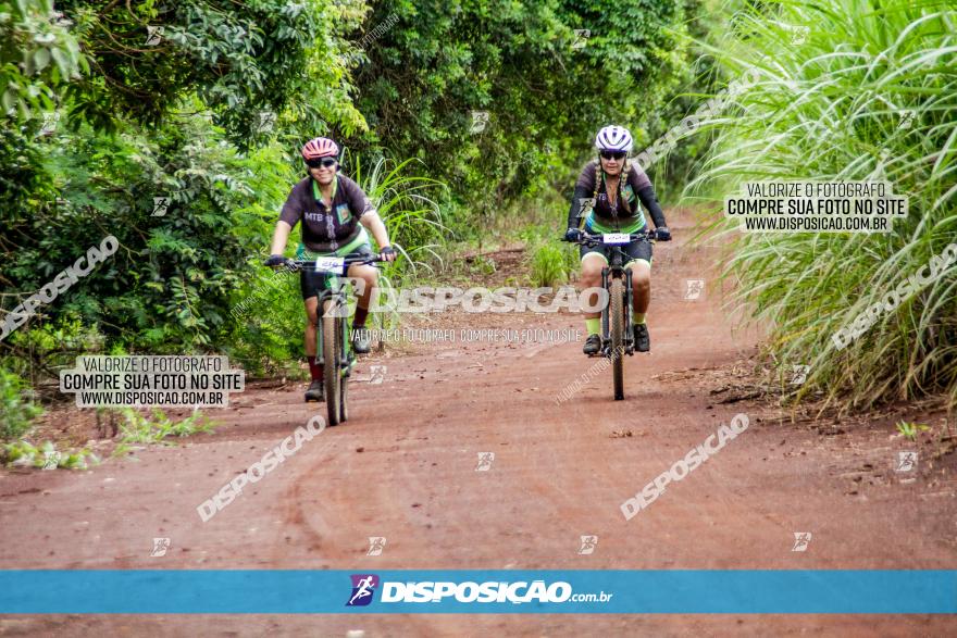 1ª EDIÇÃO DESAFIO ABELHA GRANDE - XCM